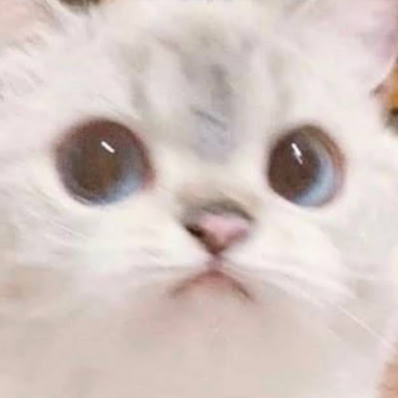 Meet your Posher, Peachynugg - Picture 1 of 1